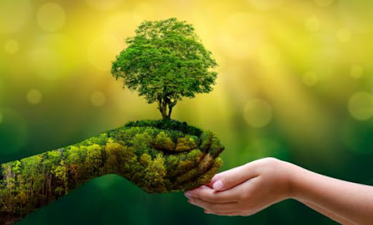 (Clima) Proteger el medio ambiente