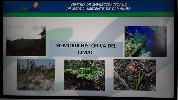 Abre el CIMAC su archivo central